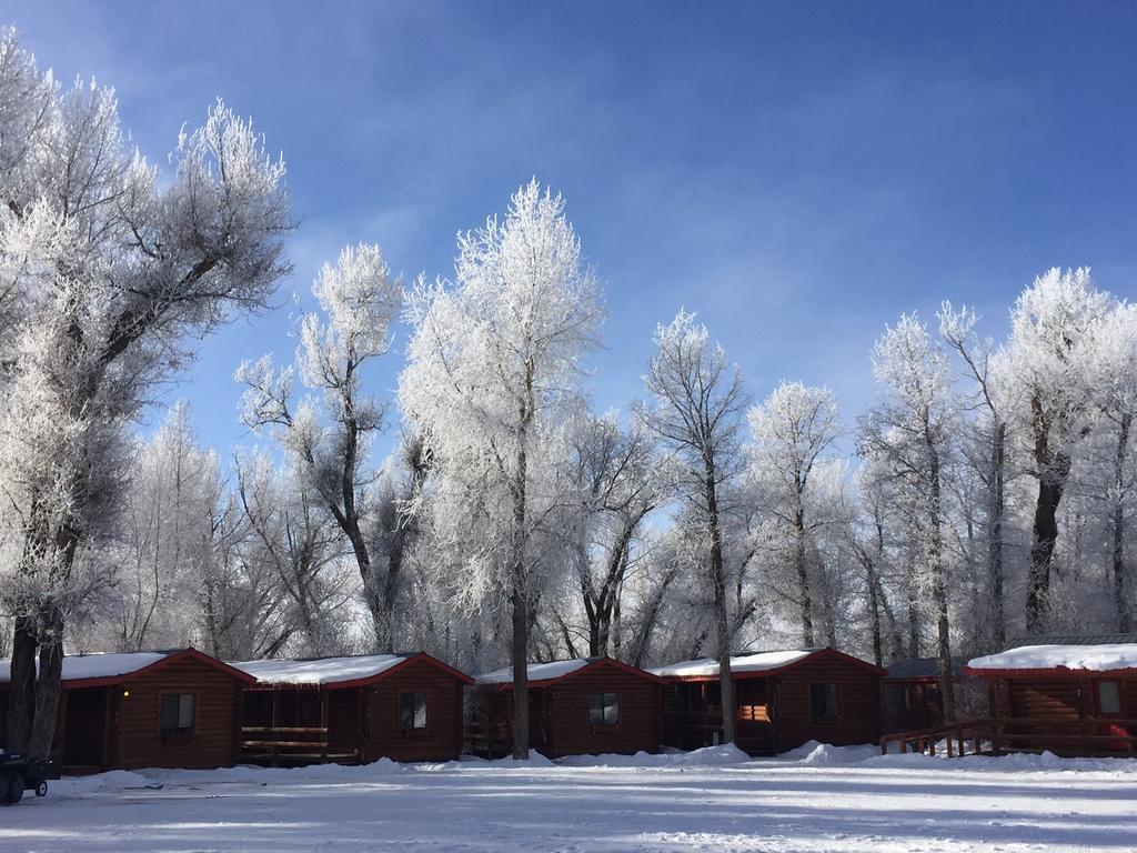Teton Valley Cabins Driggs Esterno foto
