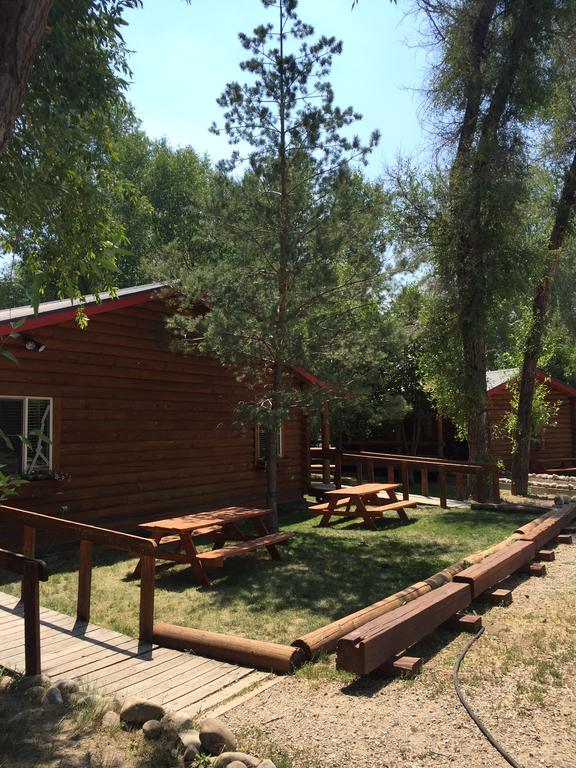 Teton Valley Cabins Driggs Esterno foto
