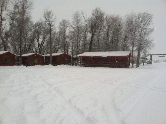 Teton Valley Cabins Driggs Esterno foto