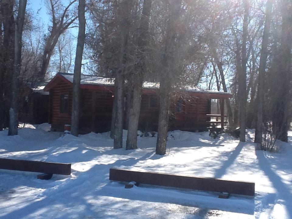 Teton Valley Cabins Driggs Esterno foto